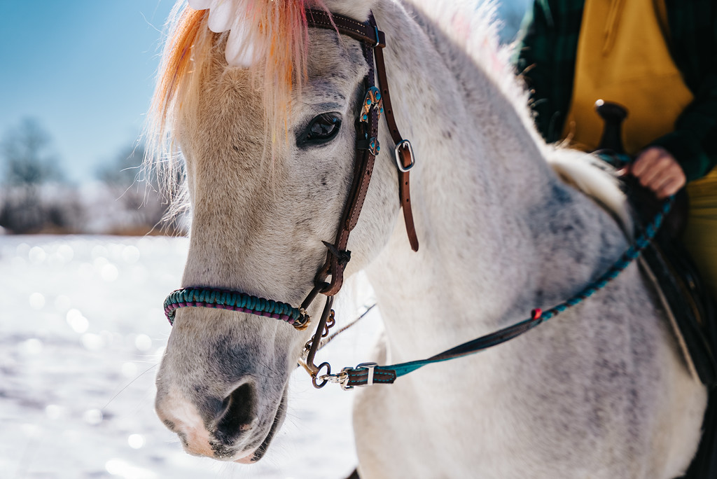 UNICORNY - Professional portrait
