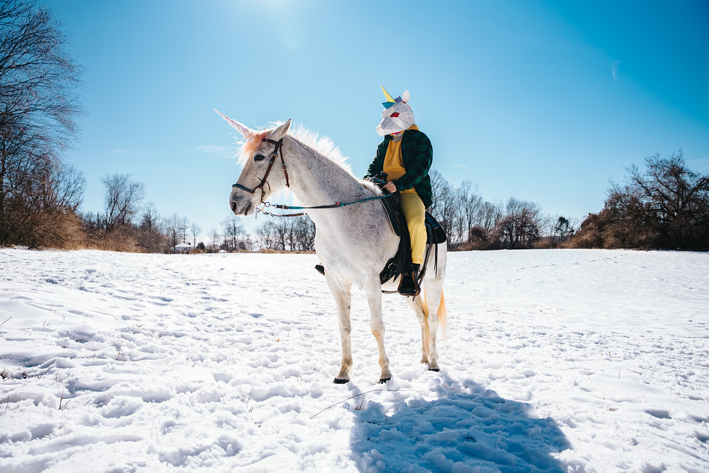 UNICORNY Winter Scene